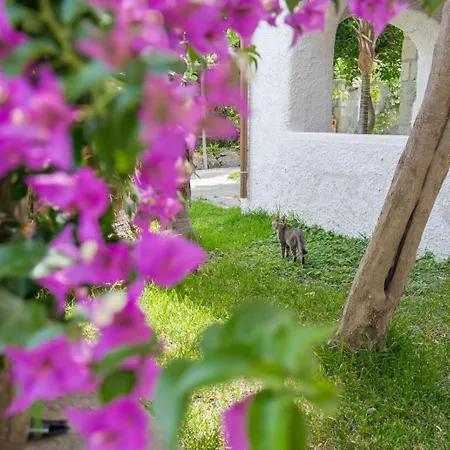 Apartamento Parco Gioconda Forio di Ischia
